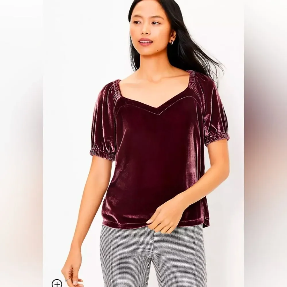 NWT purple brown soft burntout Velvet Puff Sleeve Top shirt size 10 square neck